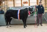 Champion beast from Ben Radley-6